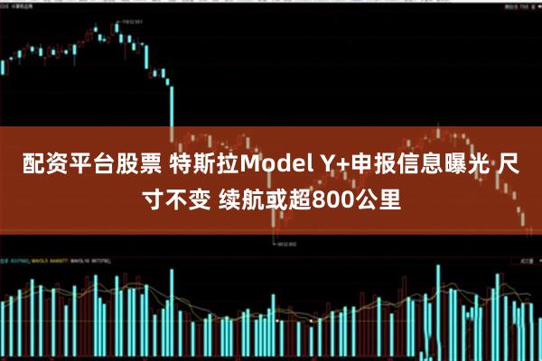 配资平台股票 特斯拉Model Y+申报信息曝光 尺寸不变 续航或超800公里